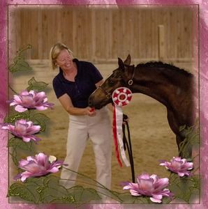 Meet your Posher, Debbie